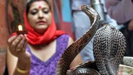 सापांची भिती वाटते; मग करा नागपंचमीला करा ‘हे’ उपाय