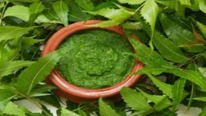 कडुनिंबाची पाने आरोग्यासाठी रामबाण औषध; वाचा खास टिप्स!