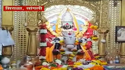 नागपंचमी सण शिराळामध्ये उत्साहात; न्यायालयाचे आदेश पाळून पंचमी साजरी