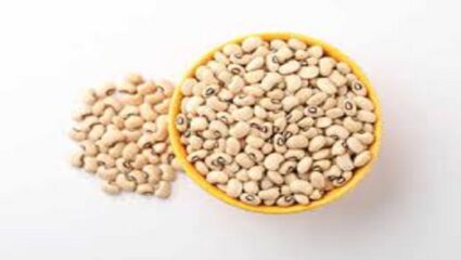 आता पासूनच आहारत करा चवळीचा समावेश; कारण चवळी खाल्याने अनेक रोगवर करु शकता मात