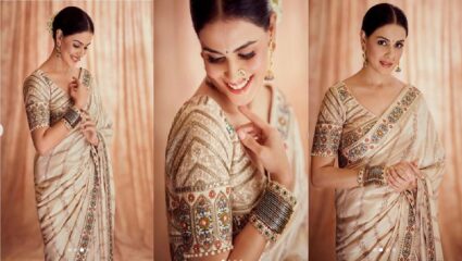 जिनिलिया डिसुझाचा साडी मधील लूक करतोय चाहत्यांना घायाळ