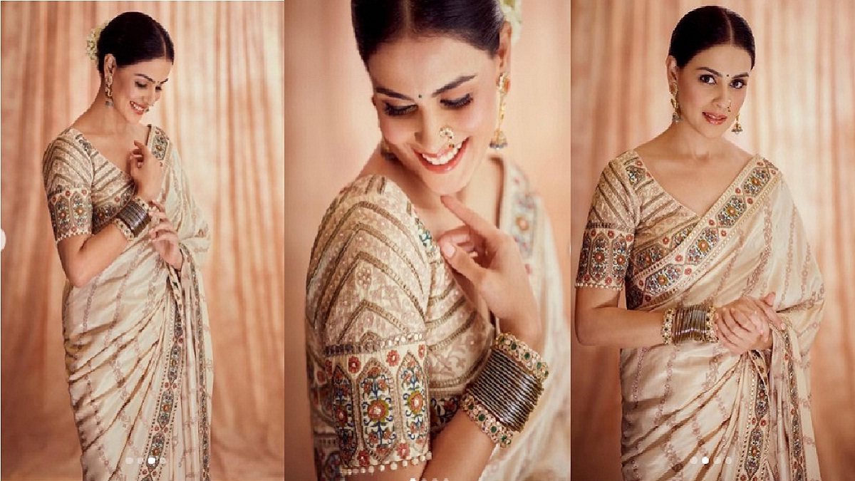 जिनिलिया डिसुझाचा साडी मधील लूक करतोय चाहत्यांना घायाळ