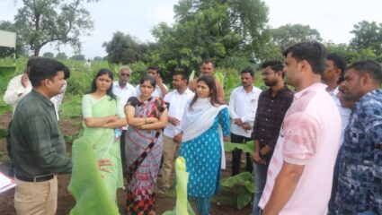 तज्ञ अधिकाऱ्यांनी केली रक्षा खडसे यांच्या उपस्थितीत रोगग्रस्त पिकांची पाहणी…