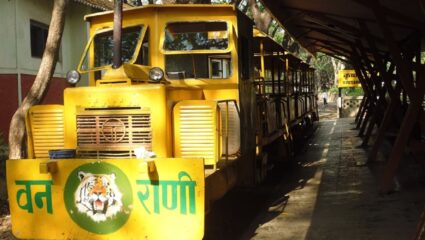 संजय गांधी राष्ट्रीय उद्यानात वनराणी सुरू करण्यात येणार : सुधीर मुनगंटीवार