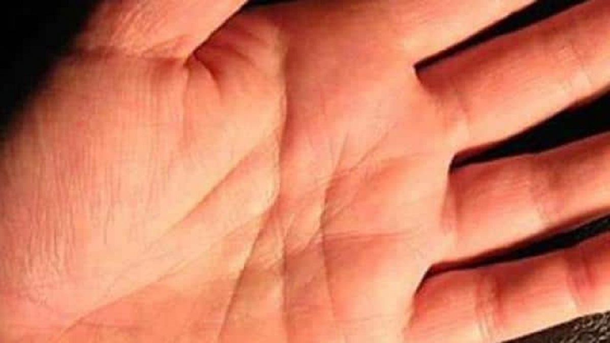 These 6 Signs On The Hand Give Wealth And Prosperity Nrrd