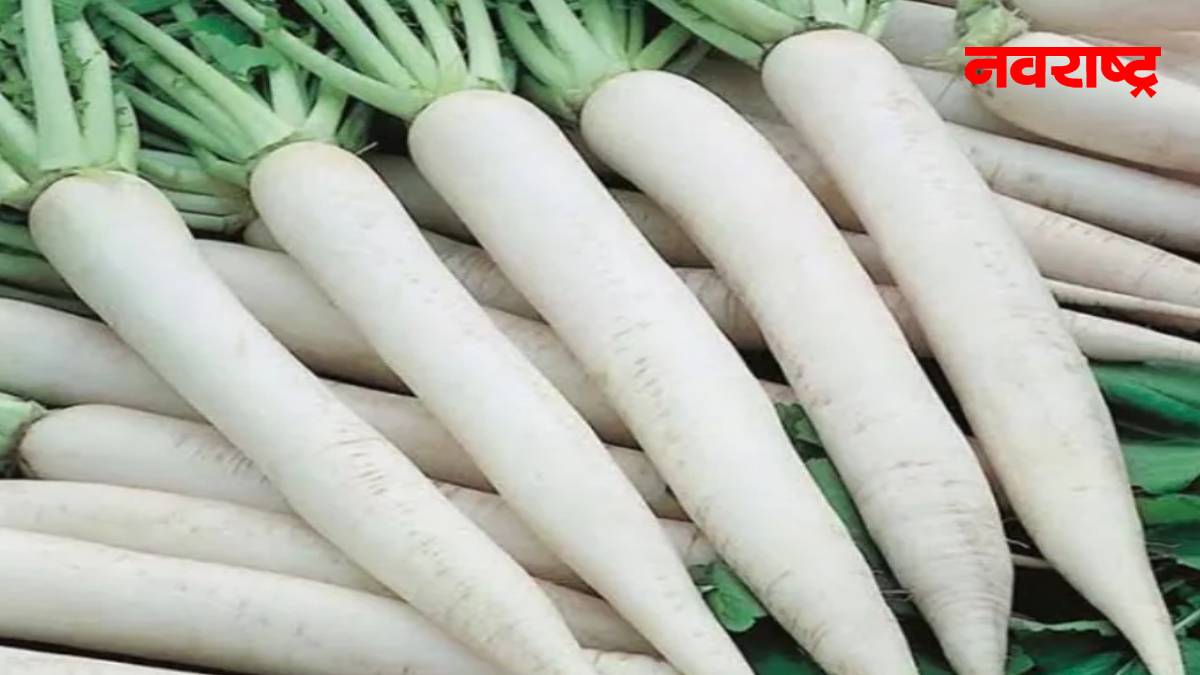 हिवाळ्यात ‘या’ आजारावर नियंत्रण मिळवण्यासाठी मूळा खा