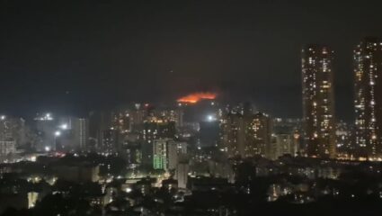 संजय गांधी नॅशनल पार्कमध्ये भीषण आग; अनेक झाडे खाक