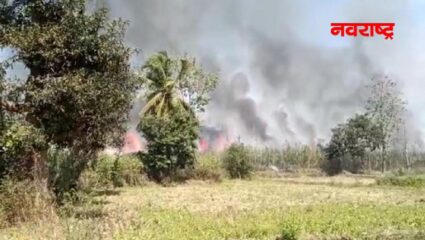 तीस एकर ऊसाला अचानक आग; शेतकऱ्यांच मोठं नुकसान