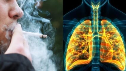 धुम्रपानाची सवय सुटता सुटेना? मग फुफ्फुसांच काय? निरोगी ठेवण्यासाठी ‘या’ गोष्टींचा आहारात करा समावेश!