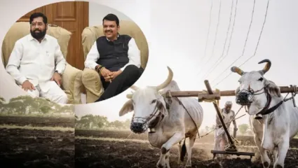 मुख्यमंत्री शेतकरी सन्मान योजनेच्या पहिल्या हप्त्याचा मुहूर्त ठरला, कधी जमा होणार खात्यात पैसे? : जाणून घ्या एका क्लिकवर
