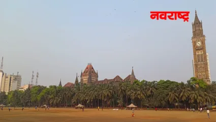 स्थानिक स्वराज्य निवडणुकांना विलंब : निवडणूक आयोगाविरोधात देशद्रोहाचा गुन्हा दाखल करण्याची मागणी फेटाळली, गैरसमजातून याचिका केल्याचे उच्च न्यायालयाचे निरीक्षण