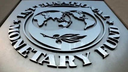 IMF कोणत्याही देशाला कर्ज कसे देतो? किती व्याज आकारले जाते? काय आहे नियम?