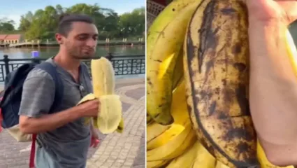 एक केळी ३ किलोची असते का?; जगातील सर्वात मोठ्या केळीचा VIDEO व्हायरल