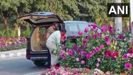 गुरुग्राममधील G20 शिखर परिषदेतील बाहेर ठेवलेली फुलझाडं चोरणाऱ्या व्यक्तीला अटक!