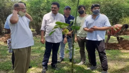 झाडांच्या पुनर्रोपणासाठी गेलेल्या सयाजी शिंदे यांच्यावर मधमाश्यांचा हल्ला,अचानक घडलेल्या प्रसंगामुळे उडाली खळबळ