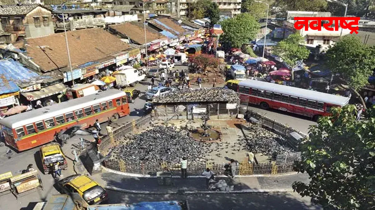 दादर-कबुतरखाना परिसरातील दुकानदारांना दिलासा देण्यास नकार, पथपथांवरील अतिक्रमण समर्थनीय नाही; उच्च न्यायालयाचे निरीक्षण