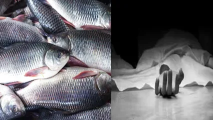 मासा ठरला काळ : जोडप्याने घरी शिजवून खाल्ला स्वादिष्ट मासा, क्षणातच मृत्यू, जाणून घ्या कारण
