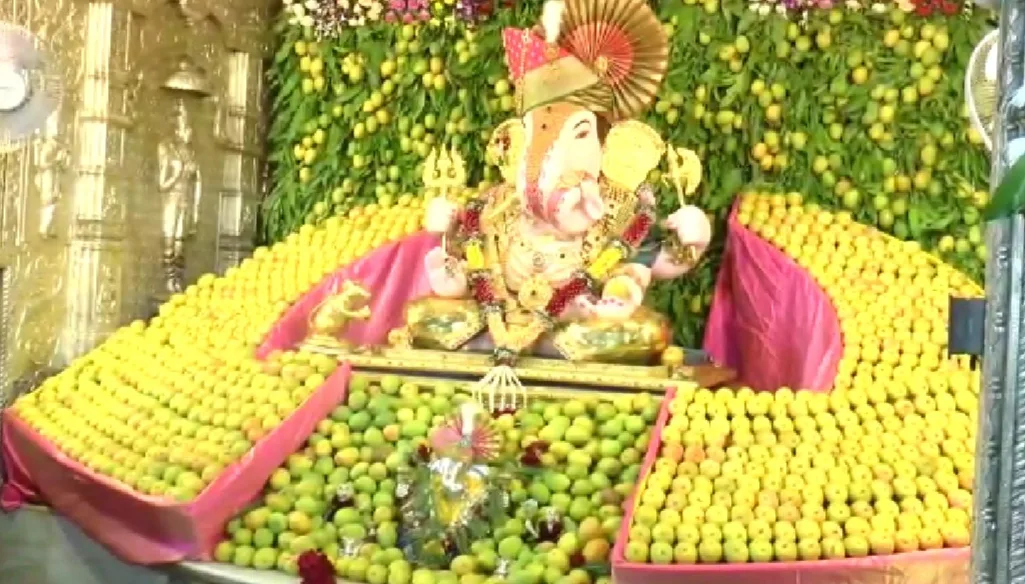 ‘दगडूशेठ’ गणपती ला ११ हजार आंब्यांचा महानैवेद्य; श्रीमंत दगडूशेठ हलवाई सार्वजनिक गणपती ट्रस्ट व सुवर्णयुग तरुण मंडळातर्फे आयोजन