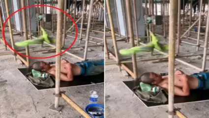 उन्हाच्या काहिलीने झाला होता हैराण मग सुचली आयडियाची कल्पना; असा तयार केला पंखा की…
