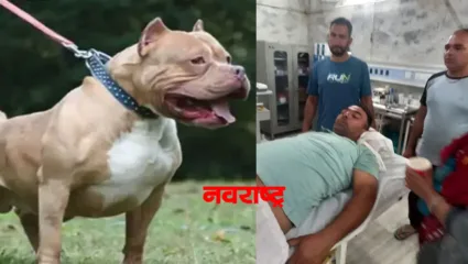 कर्नालमध्ये पाळीव पिट बुल कुत्र्याने तरुणाच्या प्रायव्हेट पार्टचा लचकाच तोडला, कुत्र्याच्या तोंडात कापड कोंबून सोडवला जीव, लोकांनी…