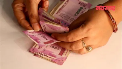 अवघ्या १०० रुपयांची पर्स विकून महिलेने कमावले ९ लाख रुपये, जाणून घ्या काय आहे त्याची खासियत