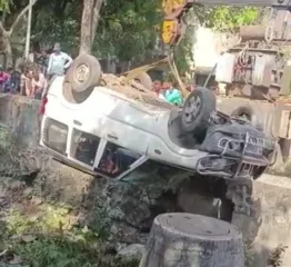 भल्या पहाटे स्काॅर्पिओ नाल्यात काेसळली; चाैघे जखमी