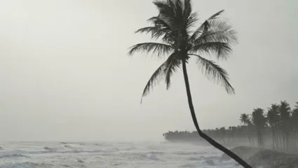 मान्सून 4 जूनला केरळमध्ये होणार दाखल, यावर्षी सरासरीइतका पाऊस पडणार का ?