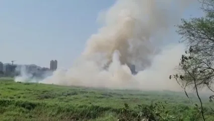 मुंबईतील पूर्व द्रुतगती मार्गाजवळच्या झाडाझुडपांना आग, अग्निशमन दलाच्या पाच गाड्या घटनास्थळी दाखल