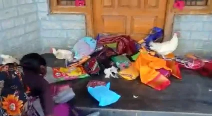 Video :  निवडणुकीसाठी भाजपने वाटलेल्या साड्या, कोंबड्या मतदारांनी भाजपा नेत्याच्या घरासमोर फेकल्या!