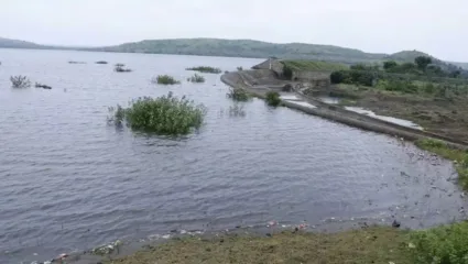 भावावर मुलांची जबाबदारी सोपवत बहिणीने धरणात मारली उडी, बीडमधल्या आत्महत्येच्या घटनेमुळे पोलीस पडले बुचकळ्यात