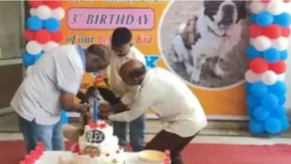 केवढं ते प्रेम! पाळीव कुत्र्याच्या वाढदिवसाला 11 किलोचा केक, पाहुण्यांना रिटर्न गिफ्टमध्ये रेफ्रिजरेटर दिला भेट
