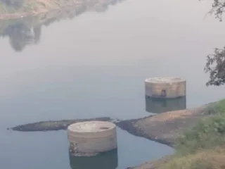 उपसाबंदी उठली, पण कृष्णेत पाणीच नाही ; कोयना धरणातून तातडीने पाणी सोडण्याची मागणी