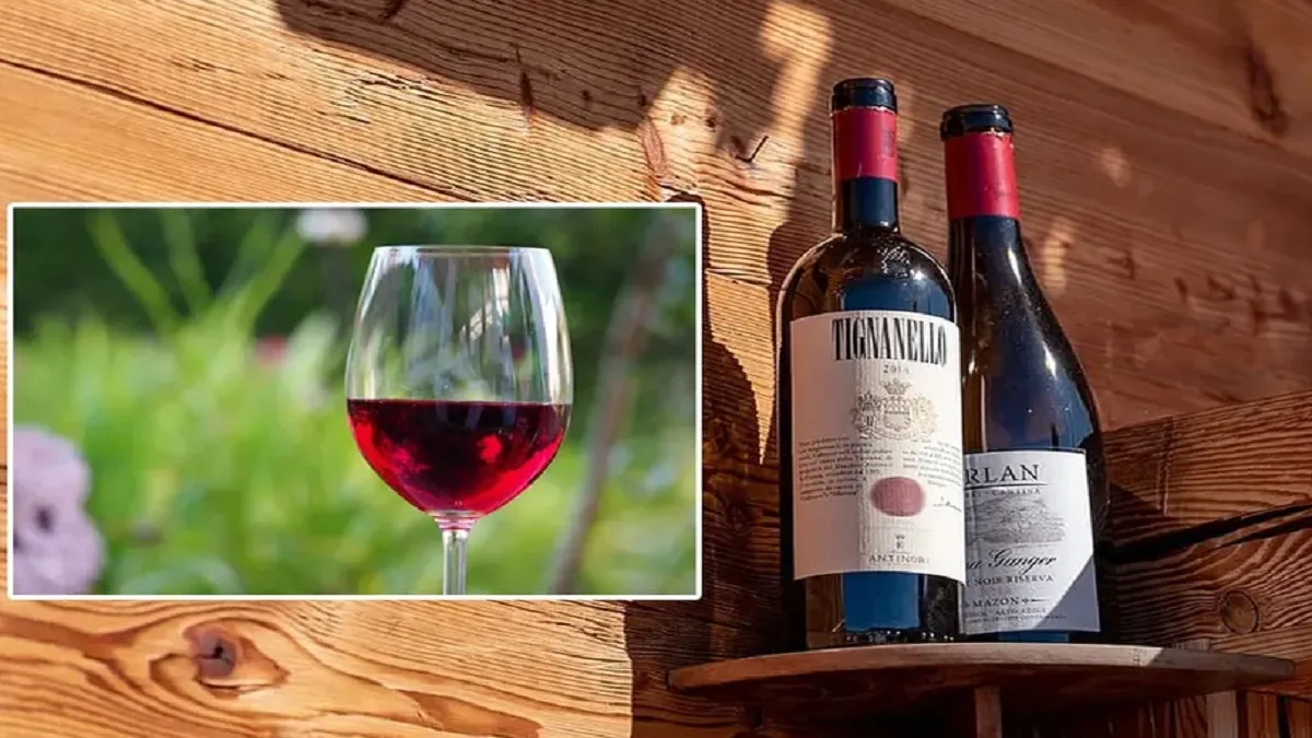 औषध म्हणून केला जातो रेड वाईनचा वापर, किती फायदेशीर आहे ? : जाणून घ्या सविस्तर