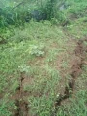 पन्हाळ्याच्या पुर्व पायथ्याला धारवाडी येथे भुस्खलन प्रशासनाने तेथील लोकांना हालवले