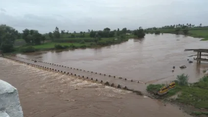सांगली, कोल्हापूरसह इतर ठिकाणी मुसळधार पाऊस; जिल्ह्यातील धरणांमध्ये समाधानकारक पाणीसाठा, तरीही…