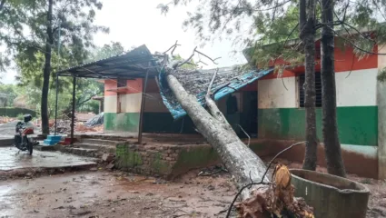 शाळेच्या इमारतीवरच कोसळले झाड; विद्यार्थ्यासह शिक्षक जखमी