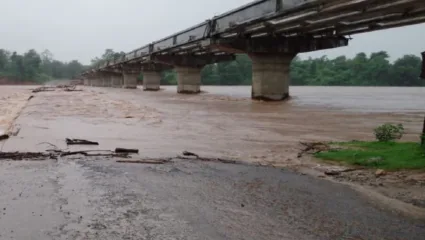 विदर्भात पावसाचं थैमान! नागपूर गोंदियासह सर्वदूर पाऊस, गडचिरोलीत काही गावांचा तुटला संपर्क, चंद्रपूरात पुरामुळे शाळांना सुट्टी