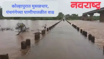 कोल्हापूरमध्ये पावसाची दमदार बॅटींग, पंचगंगा नदीपात्रात मोठी वाढ, राजाराम बंधारा पाण्याखाली