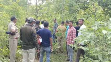 देवरी तालुक्यातील वडेगाव जंगल गावाजवळ धक्कादायक घटना, तीन बिबट्यांचा करंट लागून मृत्यू, ८ संशयितांना अटक