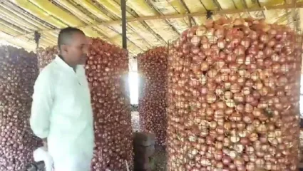 कांद्याला भाव मिळेल या अपेक्षेने सहा महिन्यापासून शेतकऱ्यांनी केली आहे कांद्याची साठवणूक, शेतकऱ्यांच्या चिंतेत वाढ