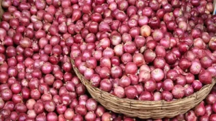 राज्य सरकारने भंपकपणा करु नये, कांद्याला ४ हजार रुपये भाव द्यावा – रविकांत तुपकर