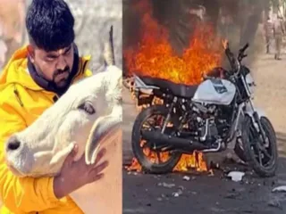 कोण आहे मोनू मानेसर? ज्याच्या नावावर हिंदू-मुस्लिमांमध्ये पेटली ठिणगी, तोडफोड आणि जाळपोळीत तिघांचा मृत्यू