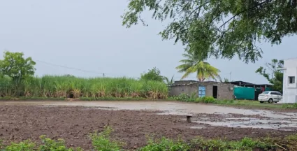 तासगाव शहरासह पुर्व भागात मुसळधार पाऊस ,मणेराजुरी मंडलात पावसाने दाणादाण ; ओढे – नाले वाहते 
