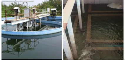 कुर्डूवाडीतील नागरिकांचे आरोग्य धोक्यात; नगरपालिकेच्या ढिसाळ नियोजनामुळे दुषीत पाणीपुरवठा