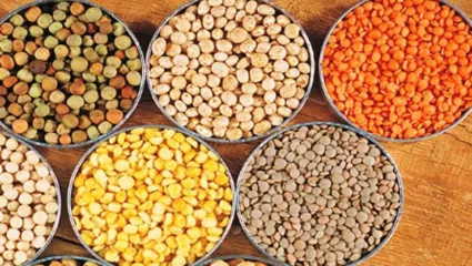 ऐन सणासुदीत बजेट काेलमडणार, डाळींचा भाव तेजीत; खर्चाचा ताळमेळ जुळवताना करावी लागणार कसरत