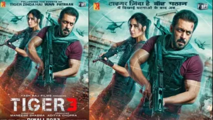 सलमान खानचा टायगर बॅाक्स ऑफिसवर सुसाट, पहिल्या दिवशी कमावले ‘इतके’ कोटी