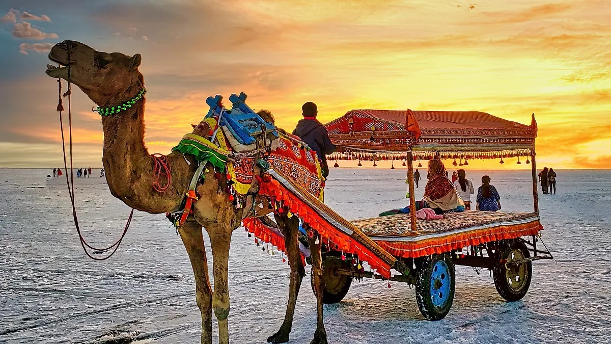 गुजरातच्या ‘या’ गावाला मिळाला सर्वोत्कृष्ट पर्यटन गावाचा मान, पंतप्रधान मोदींनी फोटो केला शेअर!