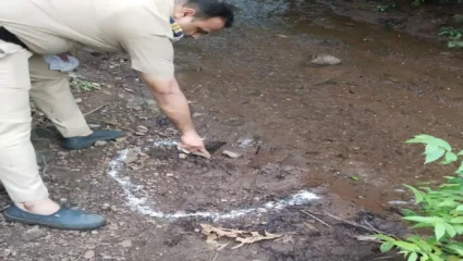रोहा धामणसई आदिवासीवाडीतील महिलेचा खून, पोलीस ठाण्यात गुन्हा दाखल 