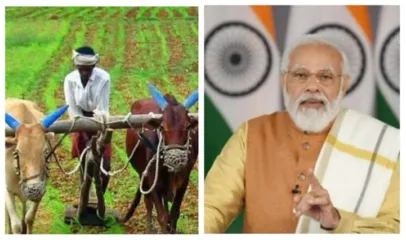 मोदी सरकार शेतकऱ्यांसाठी घेणार मोठा निर्णय, ‘या’ योजनेत होणार बदल