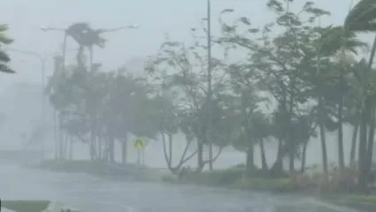 नागपूरसह विदर्भातील अनेक जिल्ह्यांमध्ये वादळी वाऱ्यासह पाऊस पडण्याची शक्यता